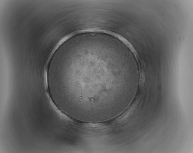 X0000114501295200910191243