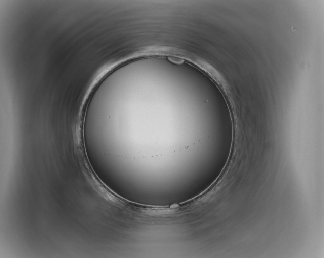 X0000114501296200910191243
