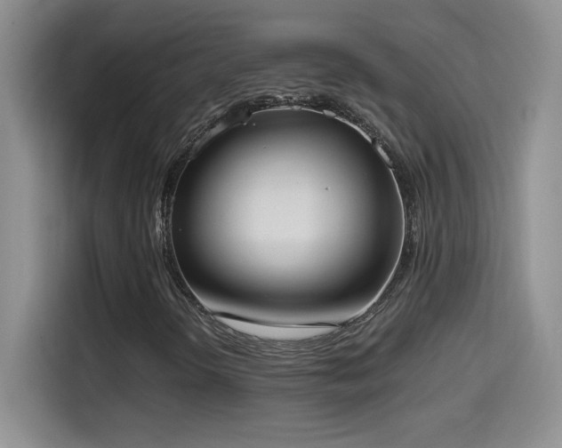 X0000114501298200910191243