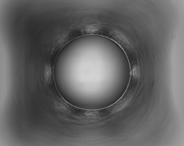 X0000114501299200910191243
