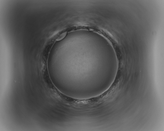 X0000114501303200910191243