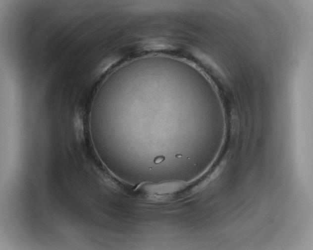 X0000114501305200910191243