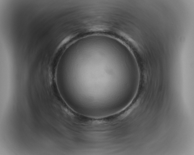 X0000114501306200910191243