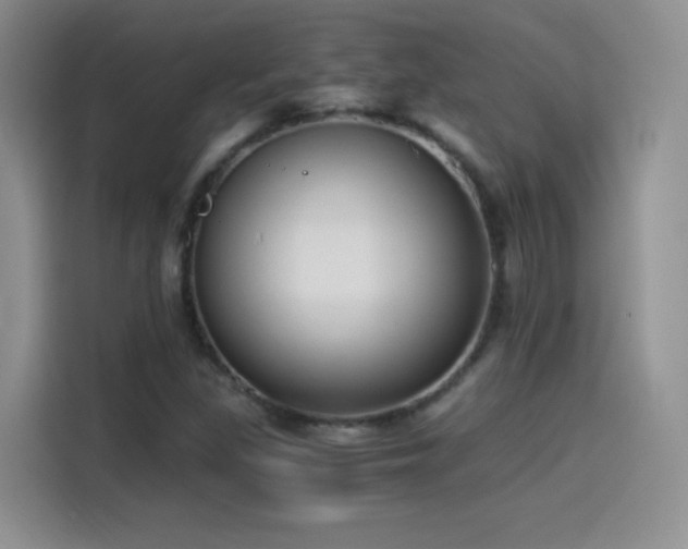 X0000114501309200910191243