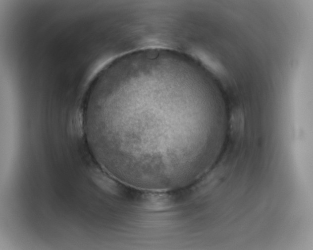 X0000114501310200910191243