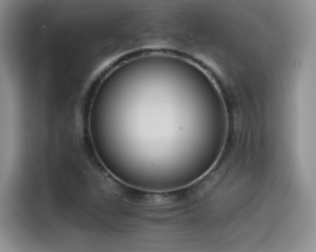 X0000114501311200910191243