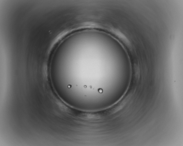 X0000114501318200910191243
