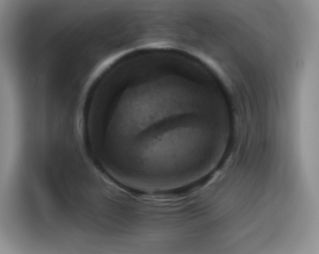 X0000114501319200910191243