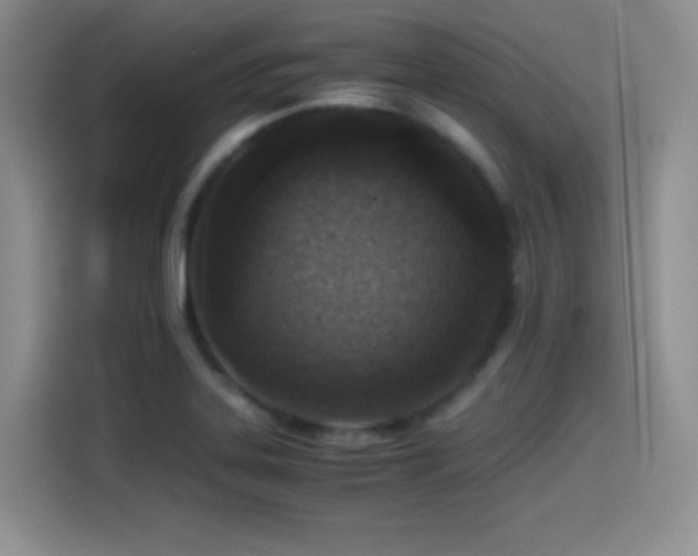 X0000114501323200910191243