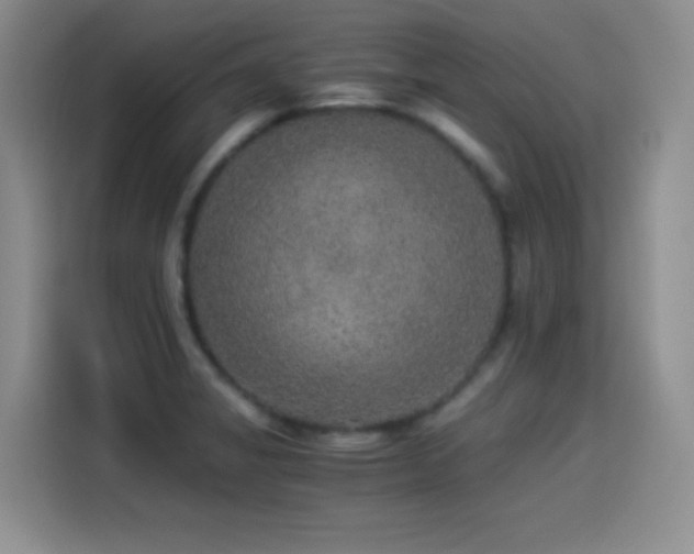 X0000114501325200910191243