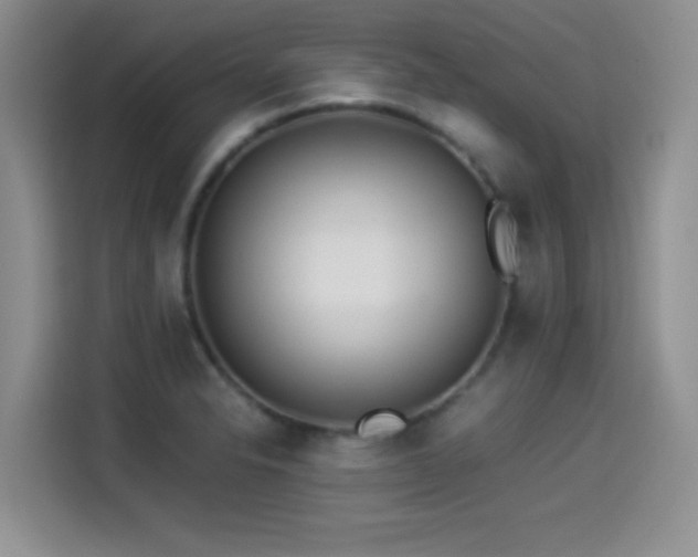 X0000114501326200910191243