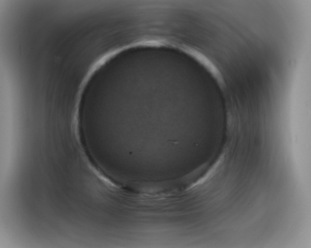 X0000114501327200910191243
