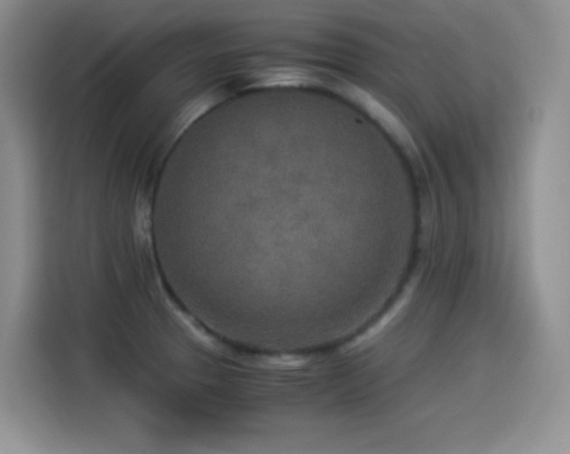 X0000114501329200910191243