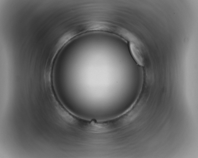 X0000114501330200910191243