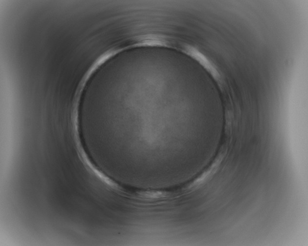 X0000114501331200910191243