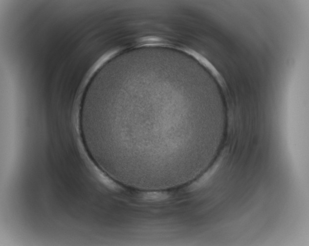 X0000114501333200910191243