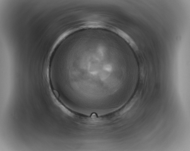 X0000114501334200910191243