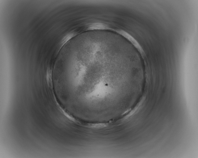 X0000114501337200910191243