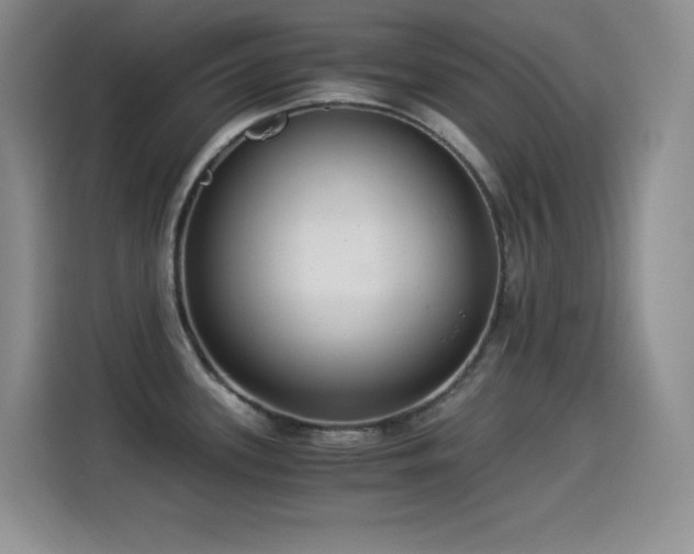 X0000114501339200910191243