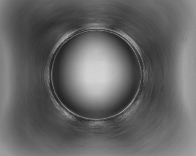 X0000114501341200910191243