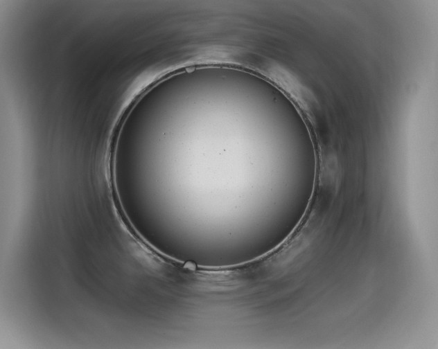 X0000114501342200910191243