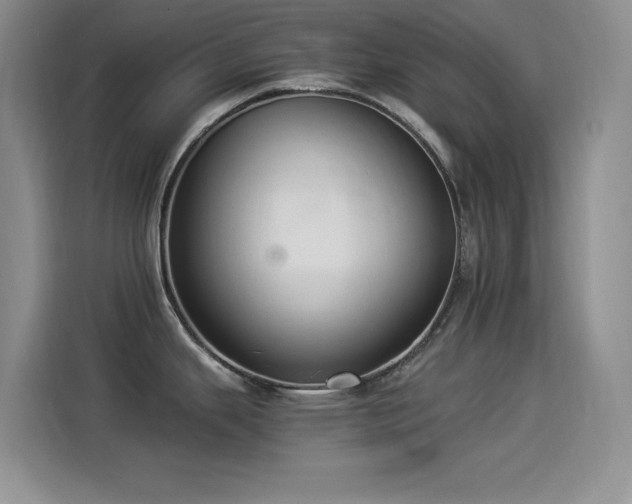 X0000114501343200910191243