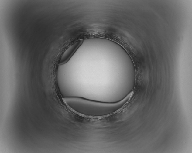 X0000114501345200910191243