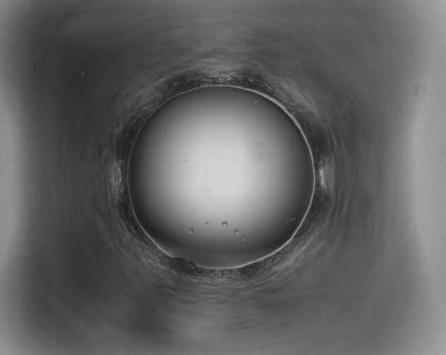 X0000114501347200910191243