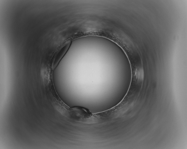 X0000114501348200910191243