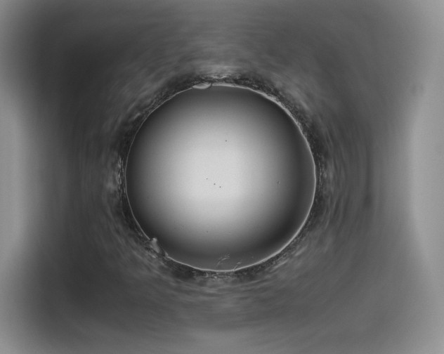 X0000114501349200910191242