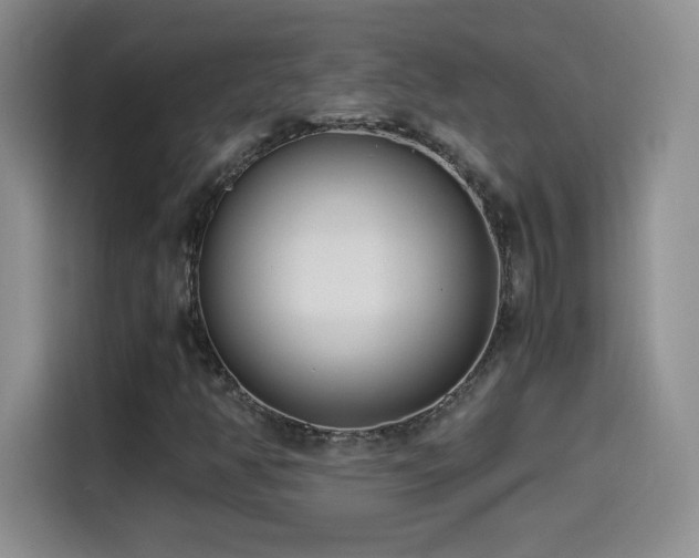 X0000114501350200910191242