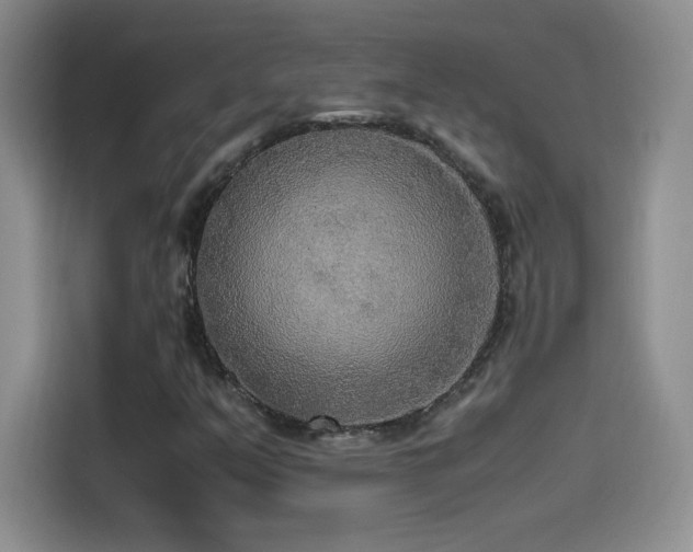 X0000114501351200910191242