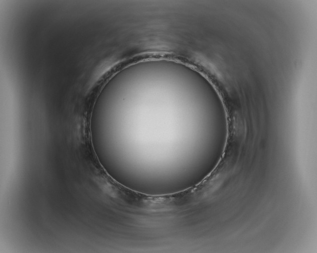 X0000114501352200910191242