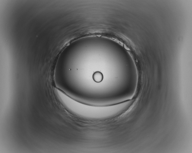 X0000114501353200910191242