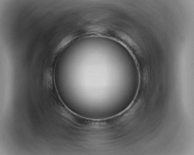 X0000114501354200910191242