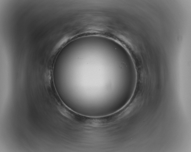 X0000114501355200910191242