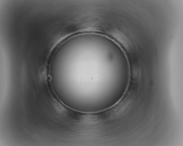 X0000114501356200910191242