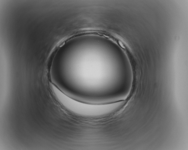 X0000114501357200910191242