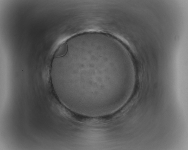 X0000114501359200910191242