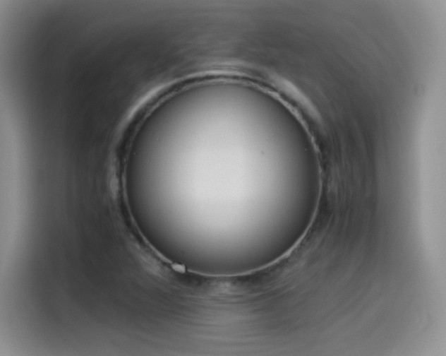 X0000114501360200910191242