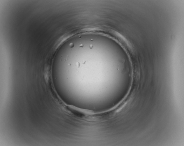 X0000114501361200910191242