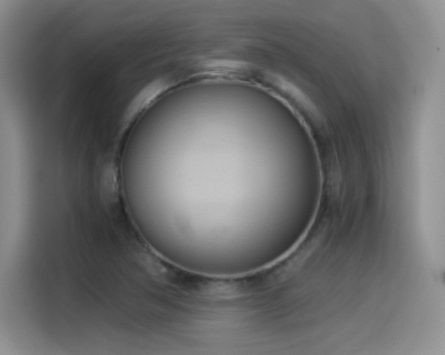 X0000114501362200910191242