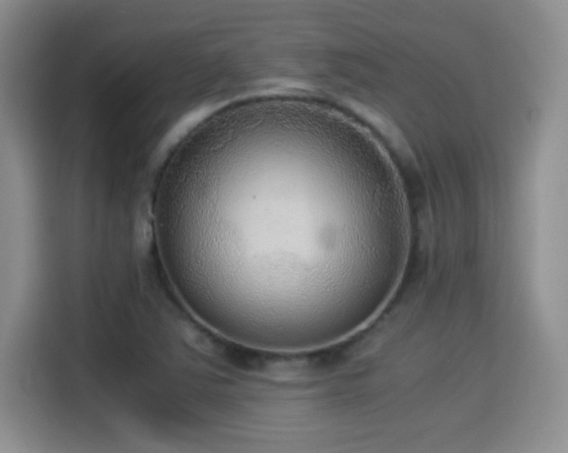 X0000114501363200910191242