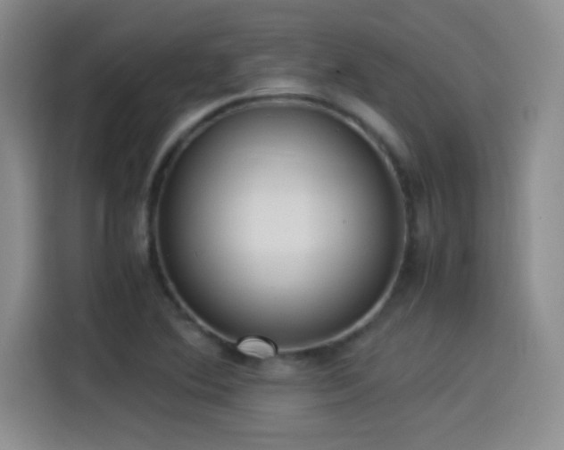 X0000114501364200910191242