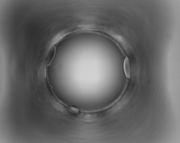 X0000114501365200910191242