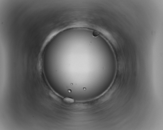 X0000114501366200910191242