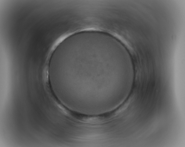 X0000114501367200910191242