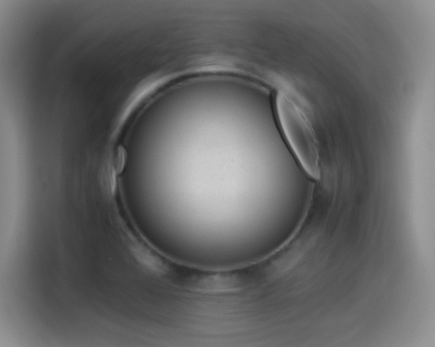 X0000114501368200910191242