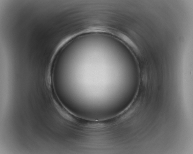 X0000114501372200910191242