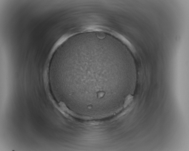 X0000114501373200910191242
